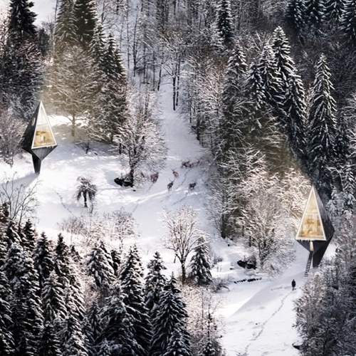 дома среди леса