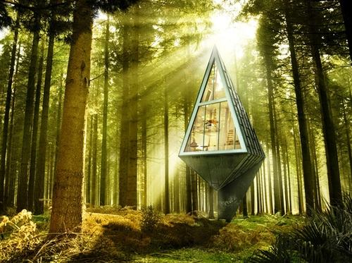 экологичный дом в лесу