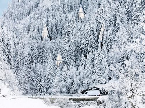 дома над лесом